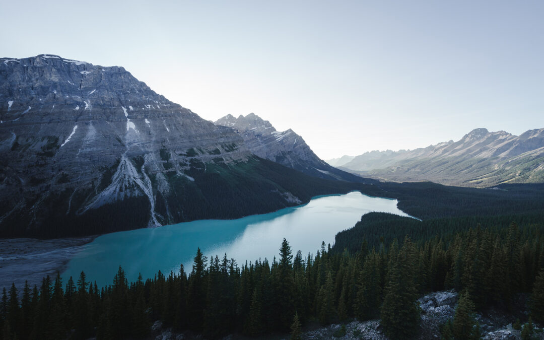 Alaska Event: 4 Gänge Menü mit bärenstarken Geschichten von David Bittner